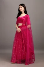 color bucket Women Net Circular Semi Stitched Lehenga Choli ( Beige ) - Image 4