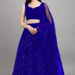color bucket Blue Net Circular Semi Stitched Lehenga Single